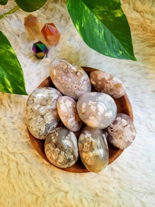 CUTIE PIE Flower Agate Palm Stones for Crystal Healing/ Reiki/ Meditation