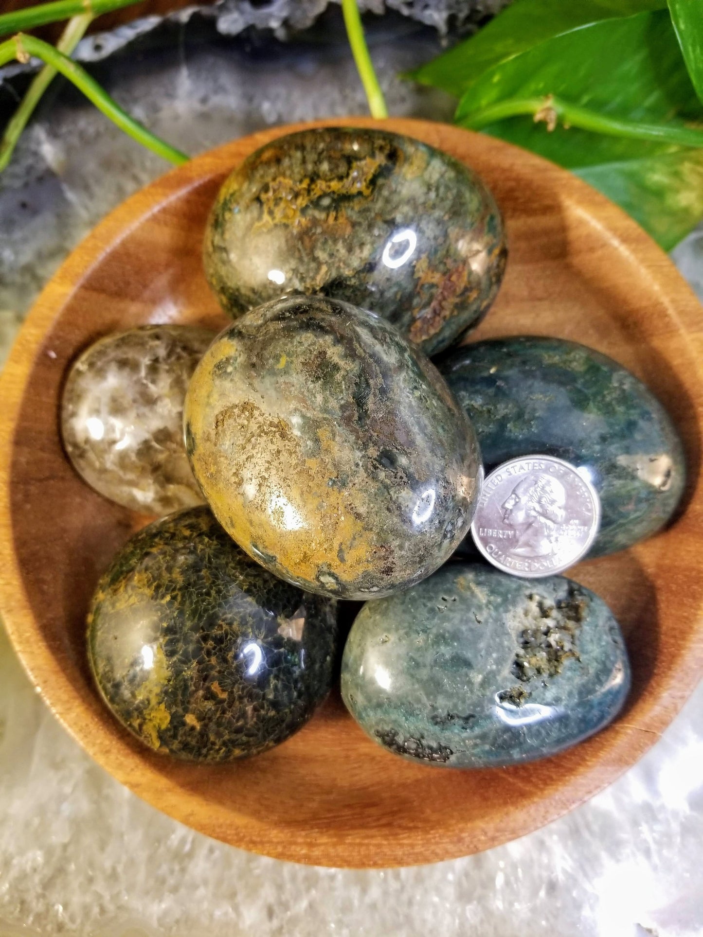 Ocean Jasper Palm Stones from Madagascar/ Sea Jasper Gemstone/ for Crystal Healing/ Reiki/ Meditation/ Crystal & Mineral Collectors