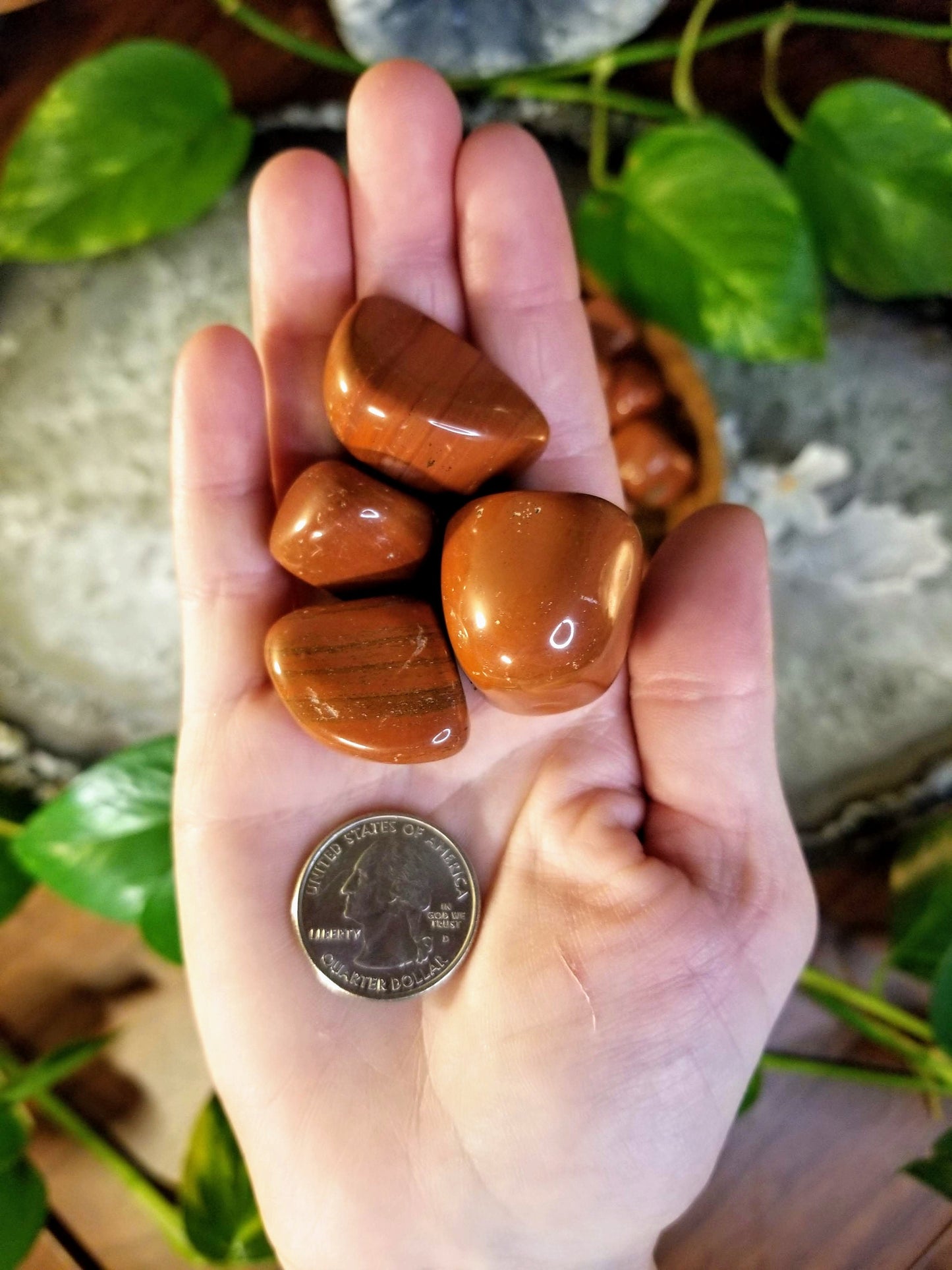 Red Jasper Tumbled Stone/ Polished Pebbles/ for Crystal Healing & Grids/ Reiki/ Meditation/ Energy Work/ Gem and Mineral Collections