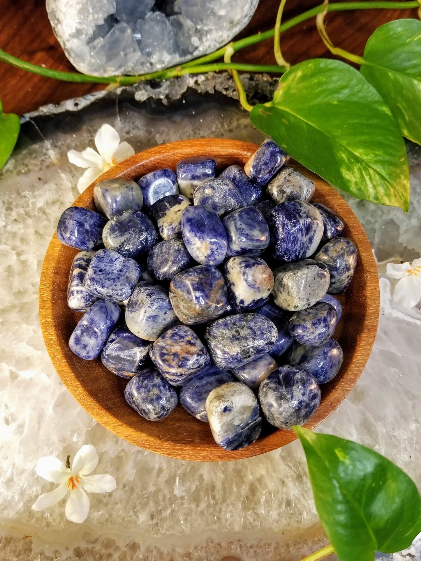 Sodalite Tumbled Stone/ Polished Pebbles/ for Crystal Healing & Grids/ Reiki/ Meditation/ Energy Work/ Gemstone and Mineral Collecting