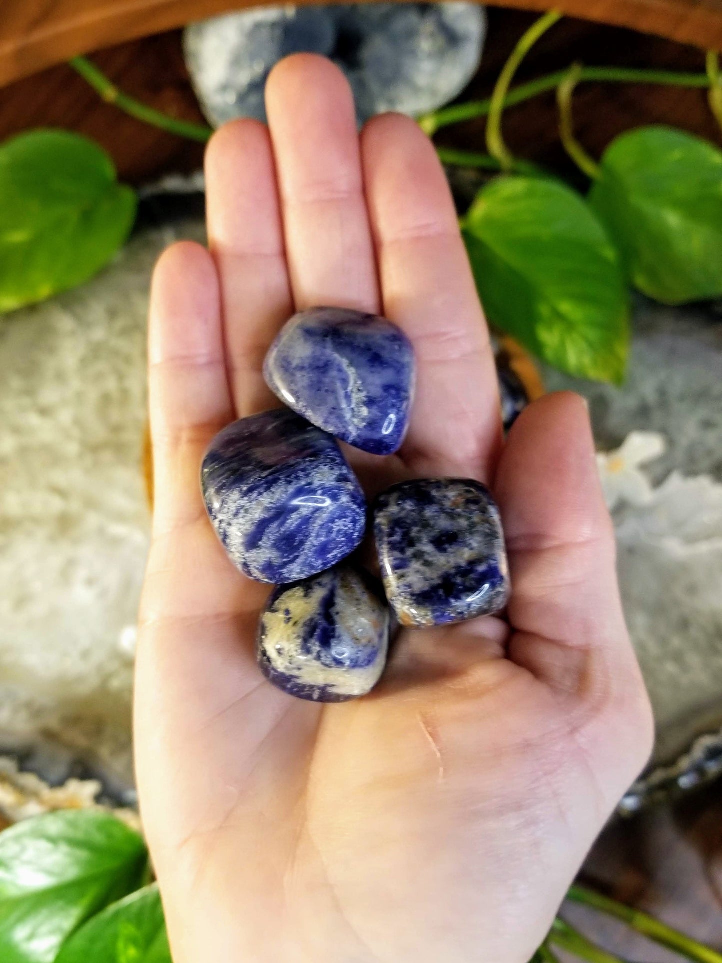 Sodalite Tumbled Stone/ Polished Pebbles/ for Crystal Healing & Grids/ Reiki/ Meditation/ Energy Work/ Gemstone and Mineral Collecting