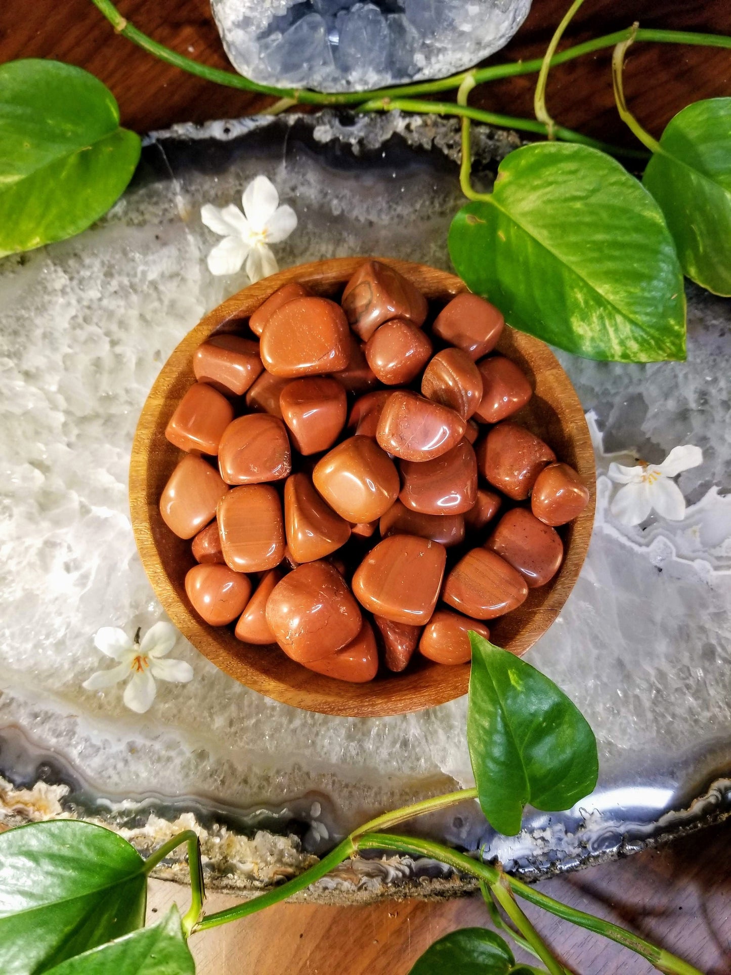 Red Jasper Tumbled Stone/ Polished Pebbles/ for Crystal Healing & Grids/ Reiki/ Meditation/ Energy Work/ Gem and Mineral Collections