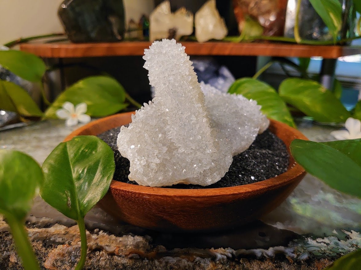 352g Clear Quartz "Crystal Toast" Cluster for Altar Decoration / Reiki / Energy Work / Gifting / Home Decor / Not For Breakfast