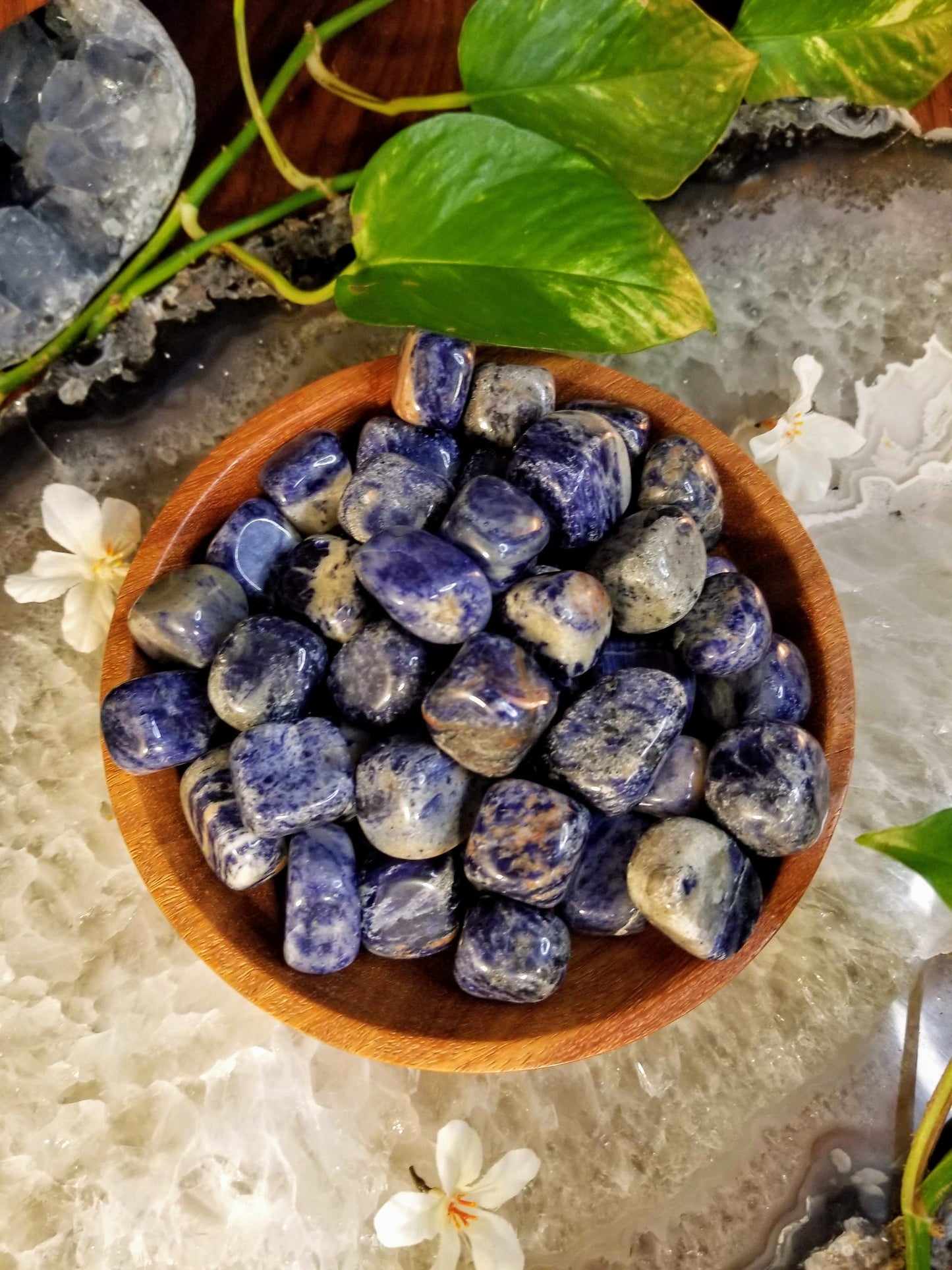 Sodalite Tumbled Stone/ Polished Pebbles/ for Crystal Healing & Grids/ Reiki/ Meditation/ Energy Work/ Gemstone and Mineral Collecting