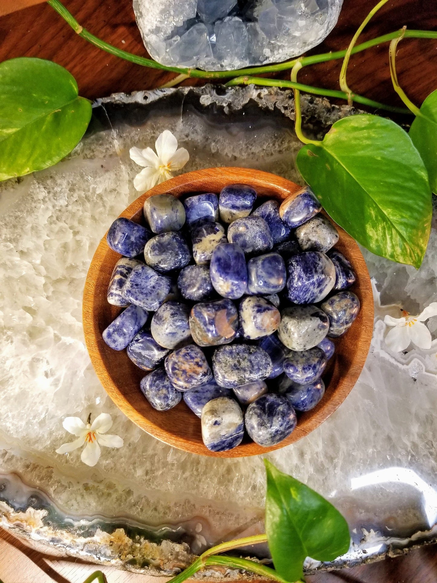 Sodalite Tumbled Stone/ Polished Pebbles/ for Crystal Healing & Grids/ Reiki/ Meditation/ Energy Work/ Gemstone and Mineral Collecting