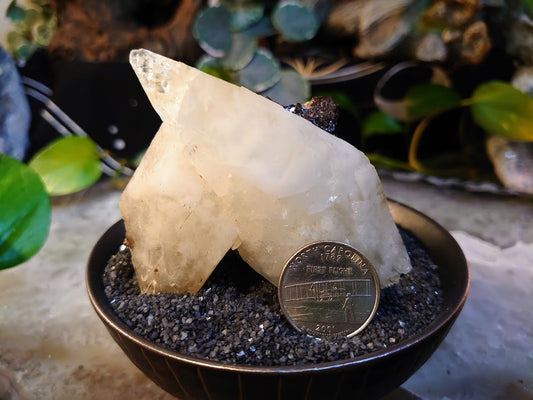 220g Golden Elmwood Stellar Beam Calcite Cluster with Sphalerite from Carthage, Tennessee for Collection / Home and Altar Decor / Meditation