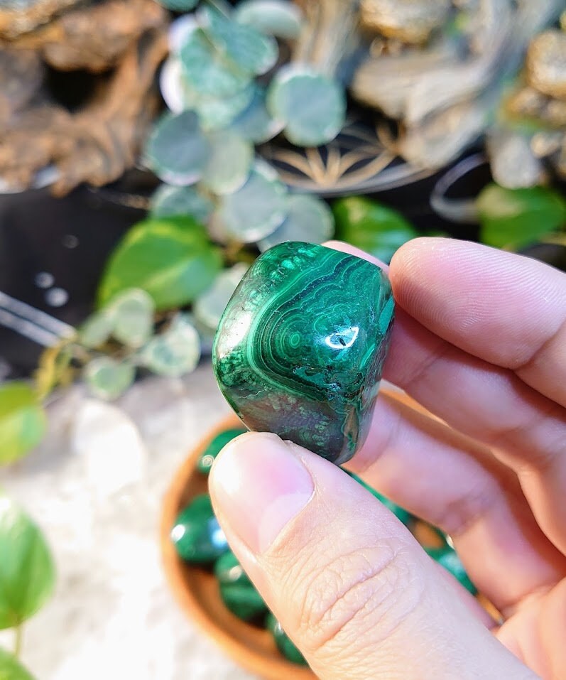 1.5"-2.0" Malachite Tumbled Stone Medium Sized / Polished Pebble / for Crystal Healing & Grids / Reiki / Meditation / Energy Work / Gifts