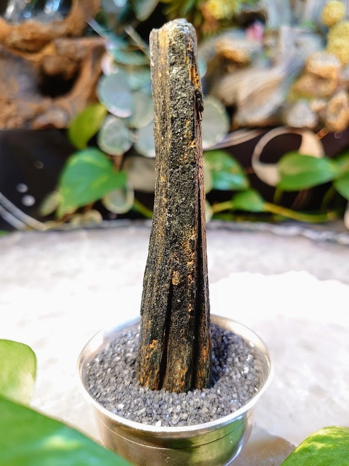 4" Black Aegirine Rod/Wand from Malawi, Africa for Crystal Healing / Home and Altar Decor / Negative Protection