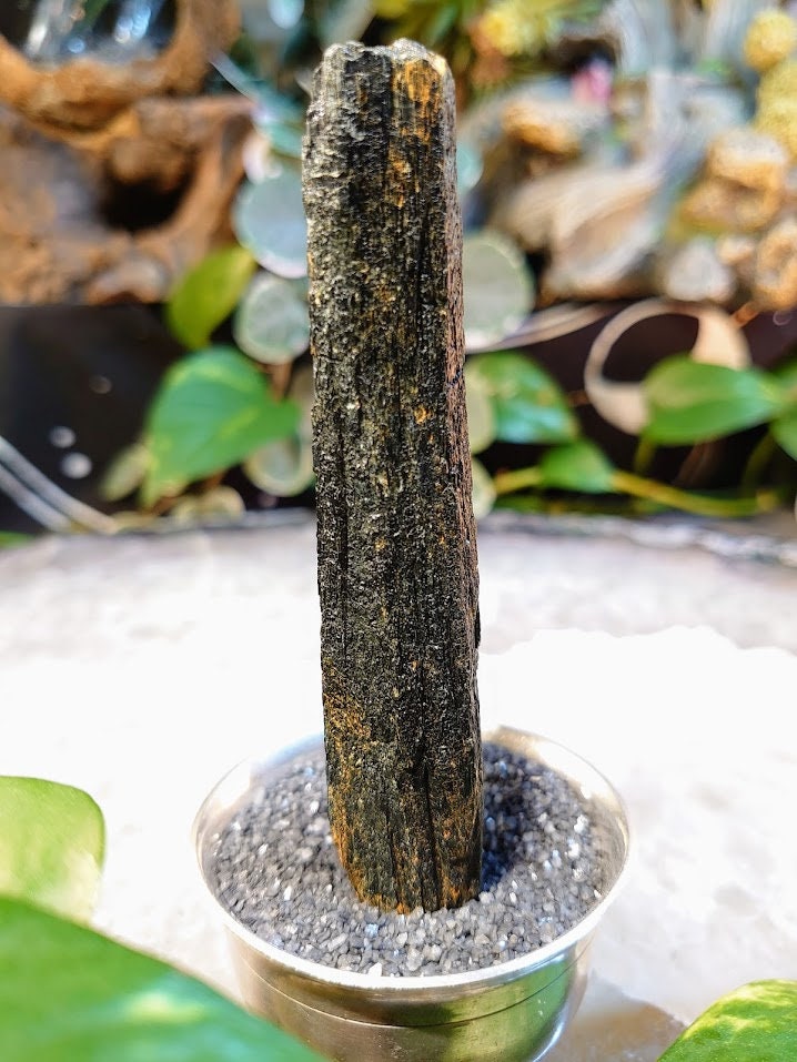 4" Black Aegirine Rod/Wand from Malawi, Africa for Crystal Healing / Home and Altar Decor / Negative Protection