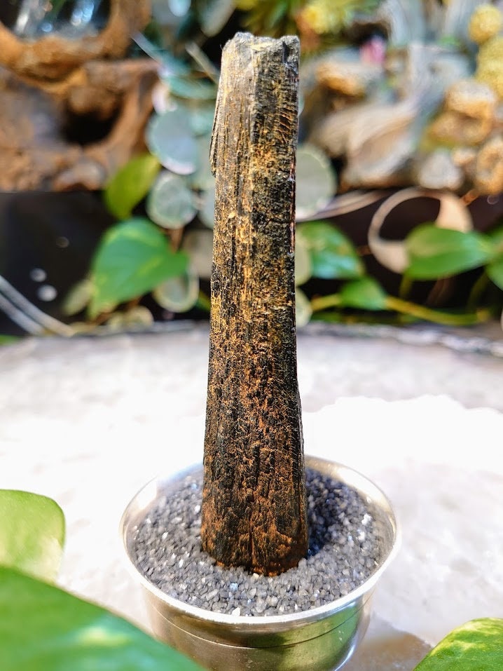 4" Black Aegirine Rod/Wand from Malawi, Africa for Crystal Healing / Home and Altar Decor / Negative Protection