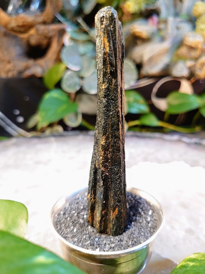 4" Black Aegirine Rod/Wand from Malawi, Africa for Crystal Healing / Home and Altar Decor / Negative Protection