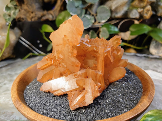 274g Incredible Tangerine Quartz Cluster with Self Healing from Minas Gerais, Brazil / Sunfire Quartz for Altar and Home Decor / Energy Work