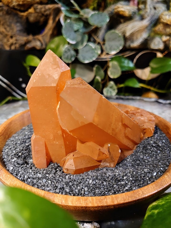 288g Tangerine Quartz Cluster with Large Points from Minas Gerais, Brazil / Sunfire Quartz for Altar and Home Decor / Energy Work / Reiki