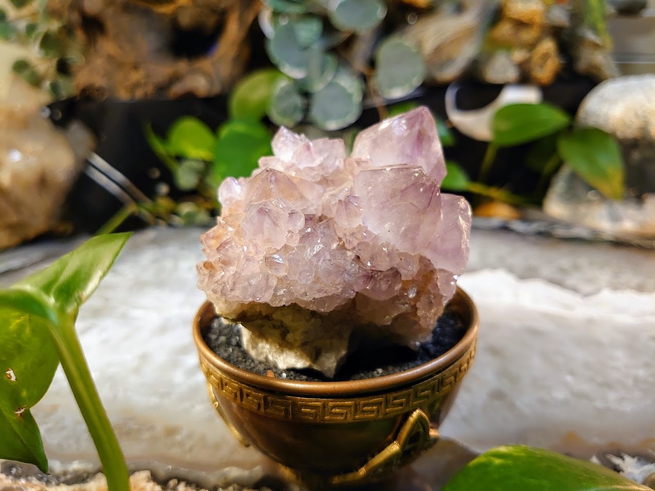 216g Spirit Quartz Cluster from ZA / Cactus Quartz / Spirit Amethyst for Crystal Healing / Meditation/ Reiki / Gifting