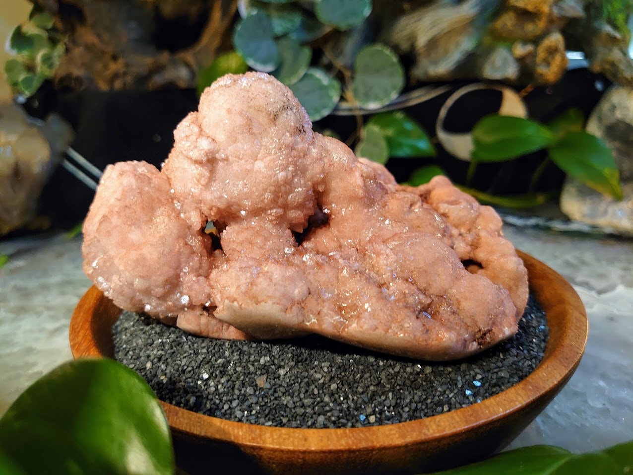 458g Natural Pink Botryoidal Amethyst Cluster from Brazil for Crystal Healing/ Meditation/ Altar and  Home Decor / Collection