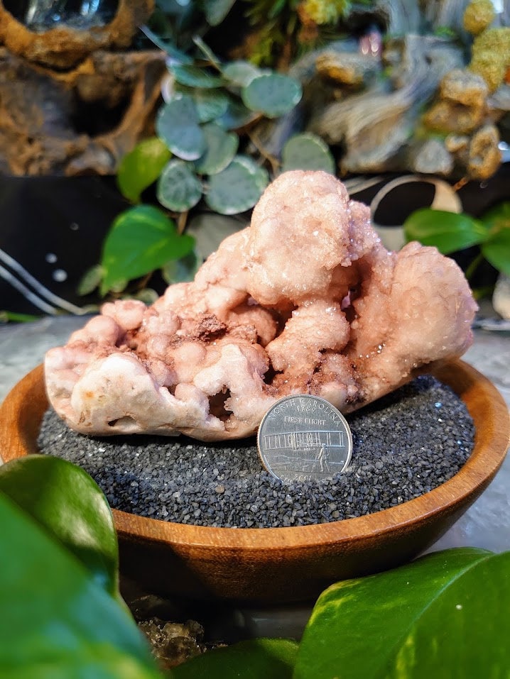 458g Natural Pink Botryoidal Amethyst Cluster from Brazil for Crystal Healing/ Meditation/ Altar and  Home Decor / Collection