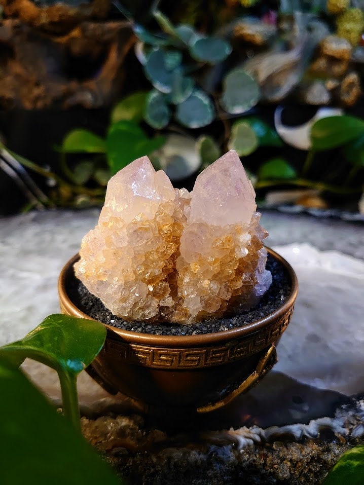 148g Spirit Quartz Cluster from ZA / Cactus Quartz / Spirit Amethyst for Crystal Healing / Meditation/ Reiki / Gifting