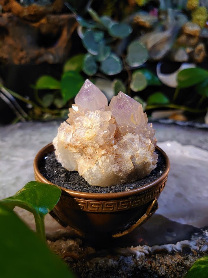 148g Spirit Quartz Cluster from ZA / Cactus Quartz / Spirit Amethyst for Crystal Healing / Meditation/ Reiki / Gifting