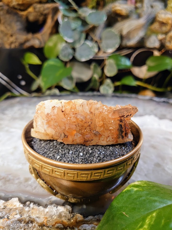 52.9g Tangerine Quartz Cluster on Matrix from Minas Gerais Brazil / Sunfire Quartzfor Altar and Home Decor / Energy Work / Reiki