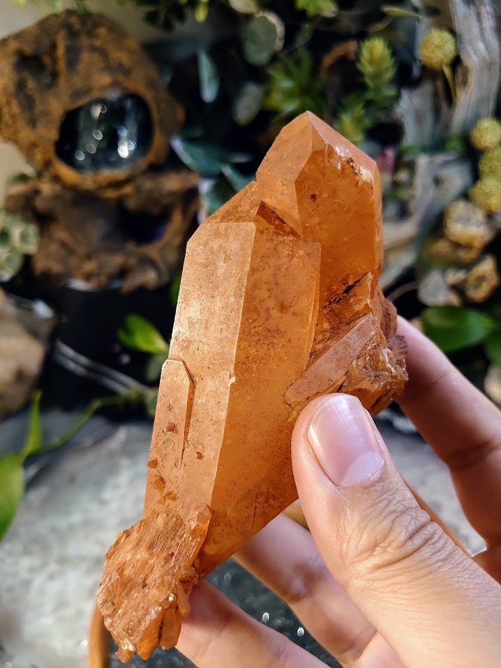 288g Tangerine Quartz Cluster with Large Points from Minas Gerais, Brazil / Sunfire Quartz for Altar and Home Decor / Energy Work / Reiki