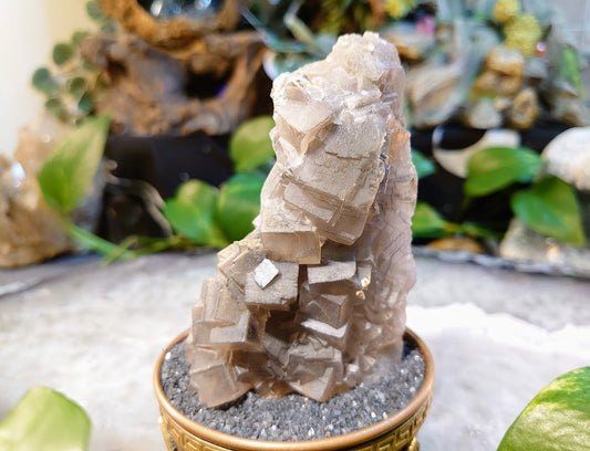 274g Grey Fluorite Cluster on Matrix with Dogtooth Calcite Growth from Baluchistan Province, Pakistan for Home and Altar Decor/ Collection