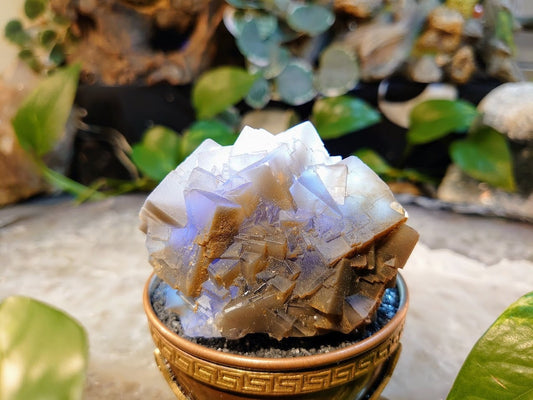 256g Grey Cubic Fluorite Cluster with Blue/Purple Core from Baluchistan Province, Pakistan for Home and Altar Decor/ Collection