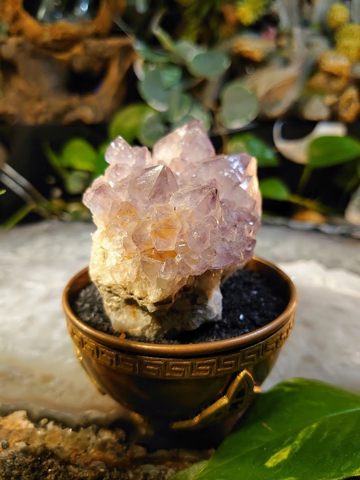 216g Spirit Quartz Cluster from ZA / Cactus Quartz / Spirit Amethyst for Crystal Healing / Meditation/ Reiki / Gifting