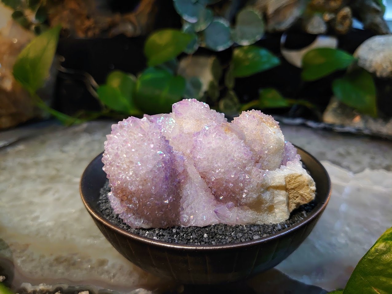 256g Angel Aura Spirit Quartz Cluster from ZA / Cactus Quartz / Spirit Amethyst for Crystal Healing / Meditation/ Reiki / Gifting