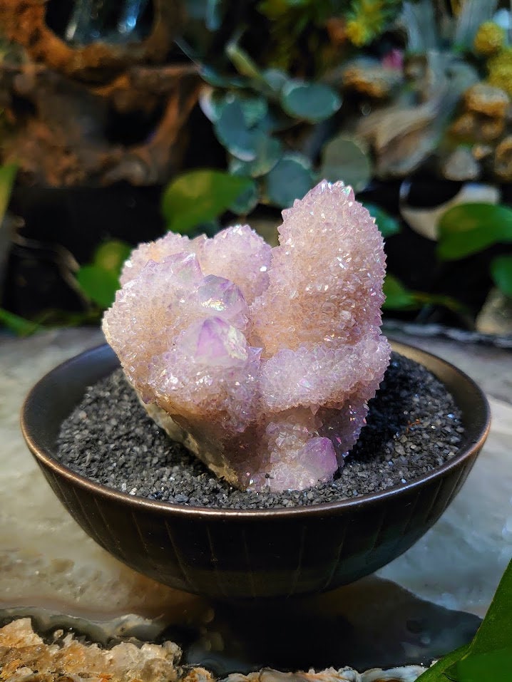 256g Angel Aura Spirit Quartz Cluster from ZA / Cactus Quartz / Spirit Amethyst for Crystal Healing / Meditation/ Reiki / Gifting