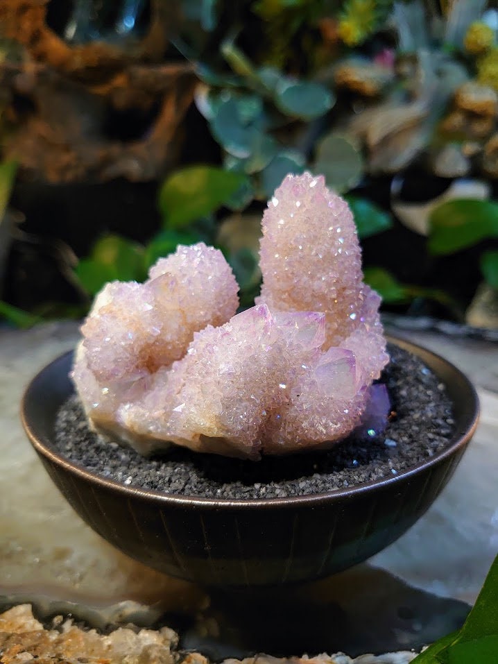 256g Angel Aura Spirit Quartz Cluster from ZA / Cactus Quartz / Spirit Amethyst for Crystal Healing / Meditation/ Reiki / Gifting