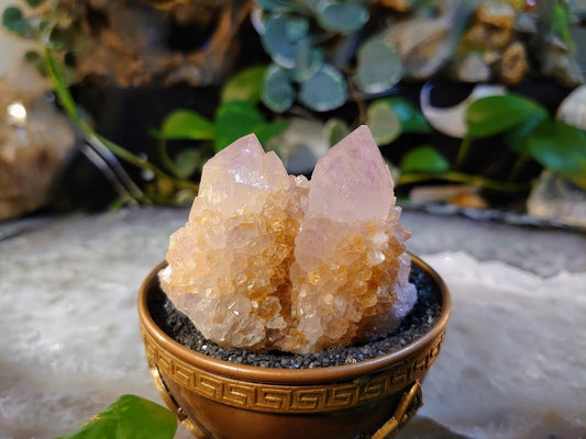 148g Spirit Quartz Cluster from ZA / Cactus Quartz / Spirit Amethyst for Crystal Healing / Meditation/ Reiki / Gifting