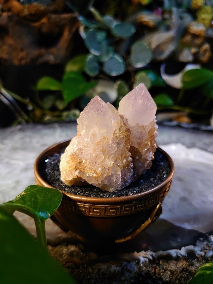 148g Spirit Quartz Cluster from ZA / Cactus Quartz / Spirit Amethyst for Crystal Healing / Meditation/ Reiki / Gifting