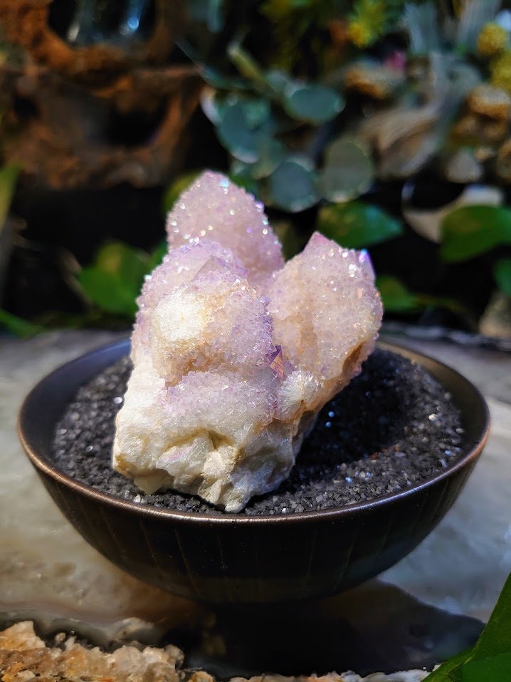 256g Angel Aura Spirit Quartz Cluster from ZA / Cactus Quartz / Spirit Amethyst for Crystal Healing / Meditation/ Reiki / Gifting