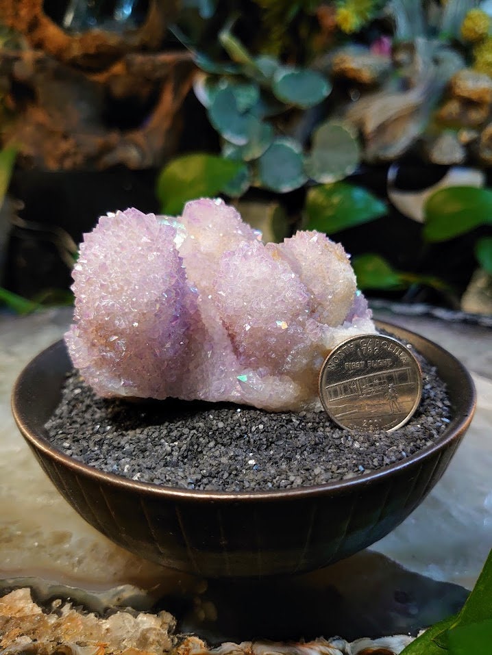 256g Angel Aura Spirit Quartz Cluster from ZA / Cactus Quartz / Spirit Amethyst for Crystal Healing / Meditation/ Reiki / Gifting