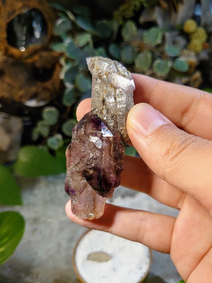 59.1g Chibuku Smoky Amethyst Scepter with Lepidocrocite from Zimbabwe for Collection / Crystal Healing/ Meditation/ Jewelcrafting / Gifting