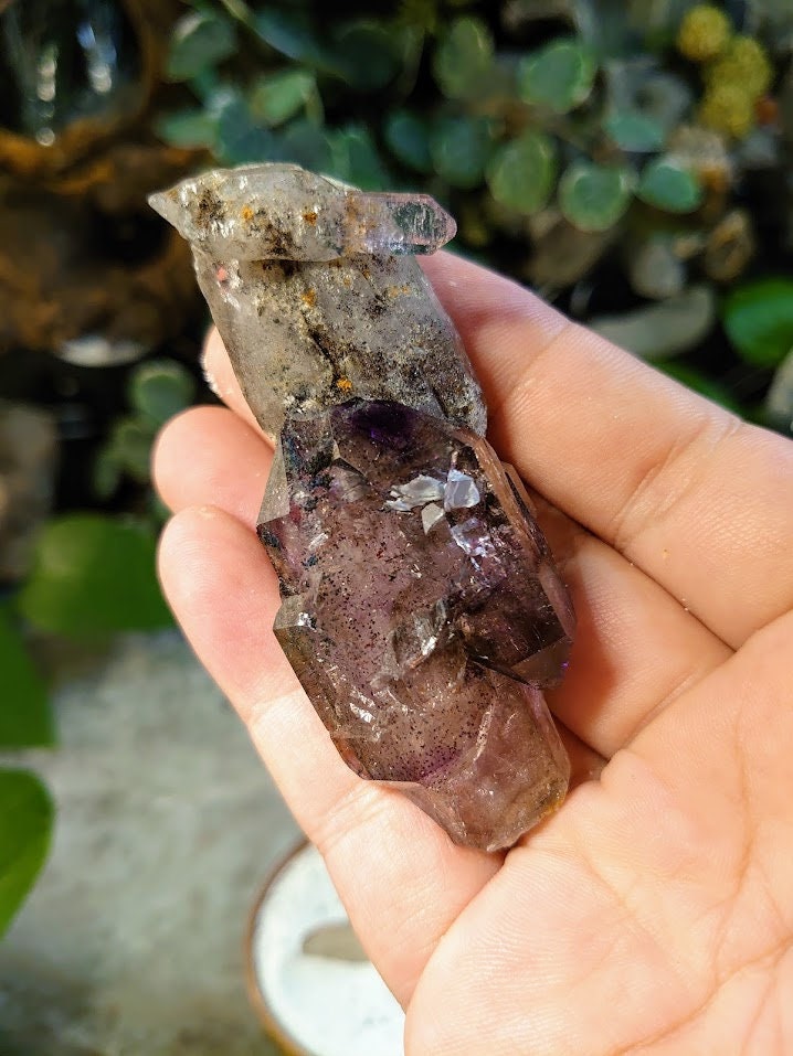 59.1g Chibuku Smoky Amethyst Scepter with Lepidocrocite from Zimbabwe for Collection / Crystal Healing/ Meditation/ Jewelcrafting / Gifting