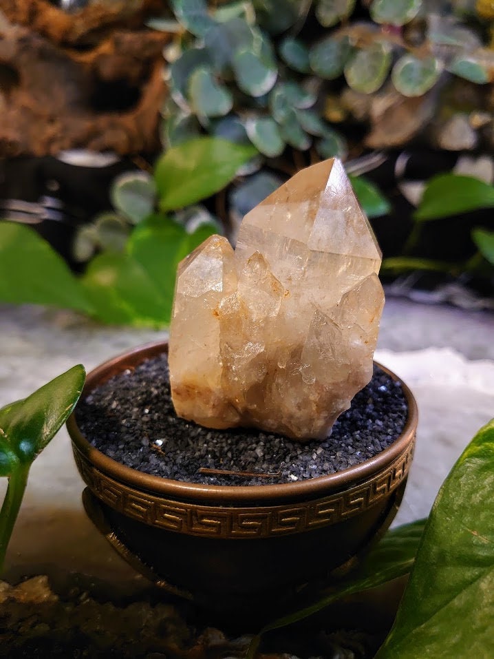 100.4g Natural Kundalini Congo Citrine Cluster for Altar and Home Decor / Energy Work / Crystal Healing / Reiki