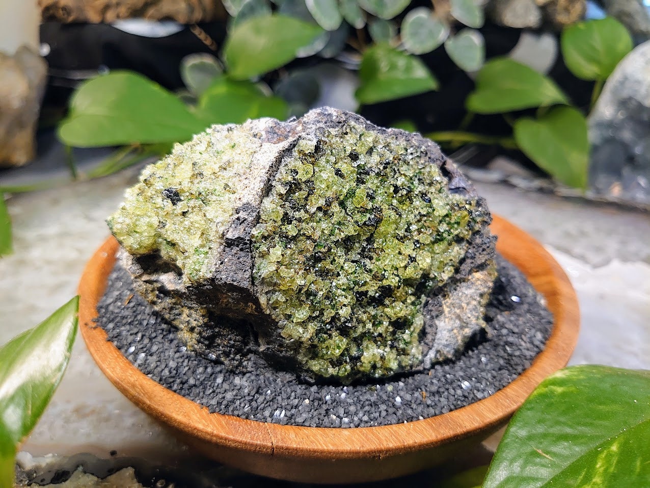 527g Peridot Druzy with Black Tourmaline on Basalt from Arizona  for Home and Altar Decor / Meditation / Reiki / Gifting / Collection