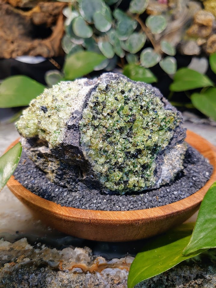 527g Peridot Druzy with Black Tourmaline on Basalt from Arizona  for Home and Altar Decor / Meditation / Reiki / Gifting / Collection