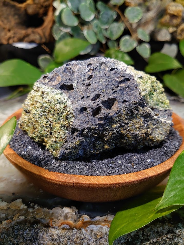 527g Peridot Druzy with Black Tourmaline on Basalt from Arizona  for Home and Altar Decor / Meditation / Reiki / Gifting / Collection