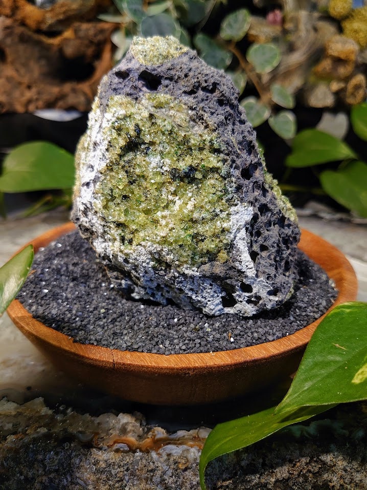 684g Peridot Druzy with Black Tourmaline on Basalt from Arizona  for Home and Altar Decor / Meditation / Reiki / Gifting / Collection