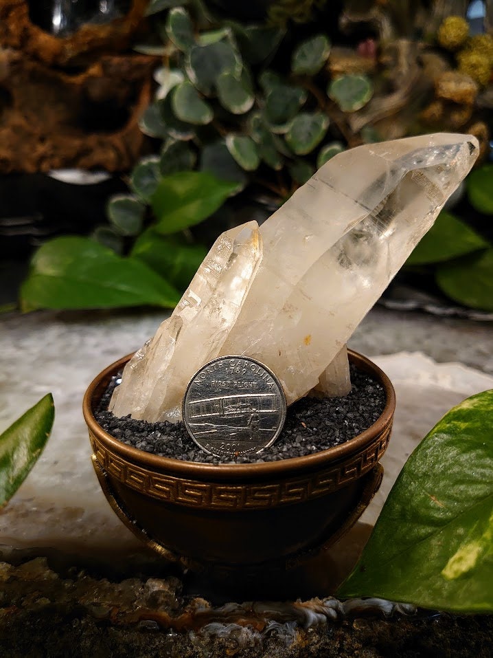 162g Congo Lemurian Quartz Cluster from DRC for Crystal Healing / Meditation / Collection