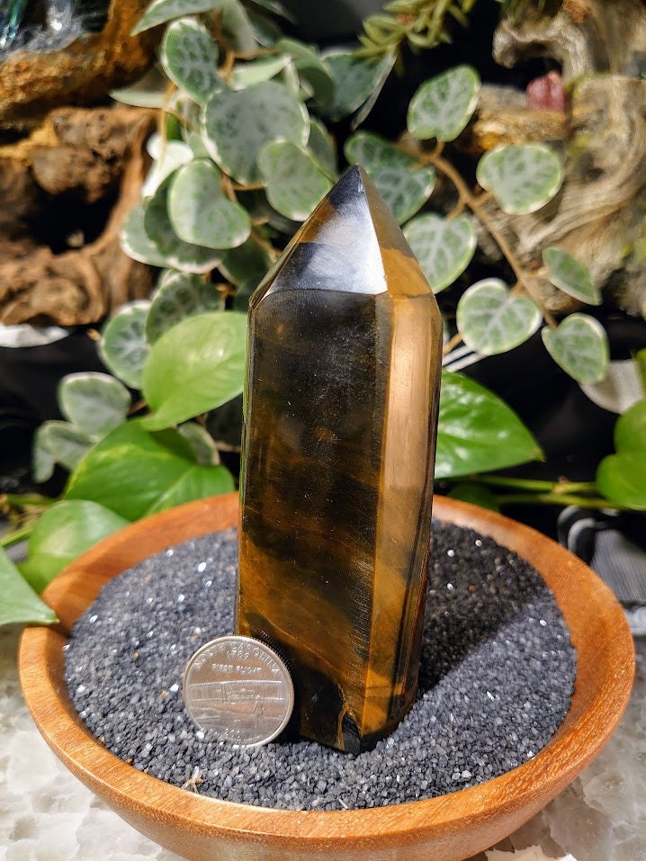 262g Tiger's Eye Tower from Prieska, South Africa for Crystal Healing & Grids / Meditation / Energy Work / Home and Altar Decor