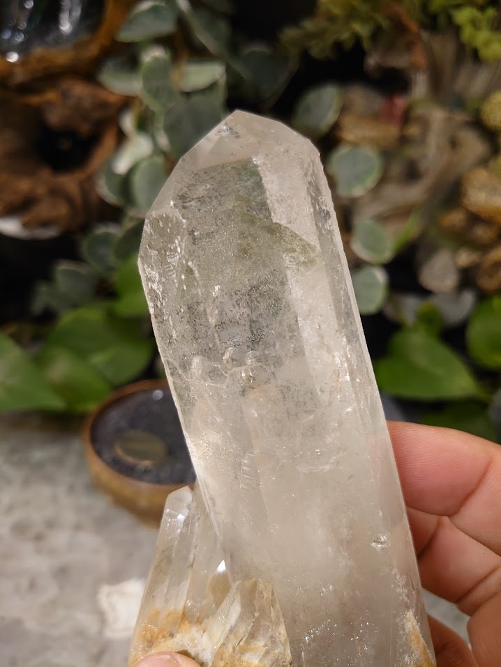 334g Clear Quartz Cluster with Green Chlorite Phantom and Lodolite Inclusions from Minas Gerais Brazil for Crystal Healing / Meditation