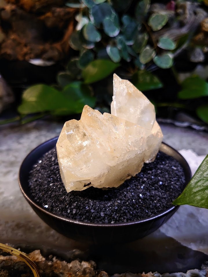 142g Golden Elmwood Dogtooth Calcite Cluster with Sphalerite from Carthage, Tennessee for Collection / Home and Altar Decor / Meditation