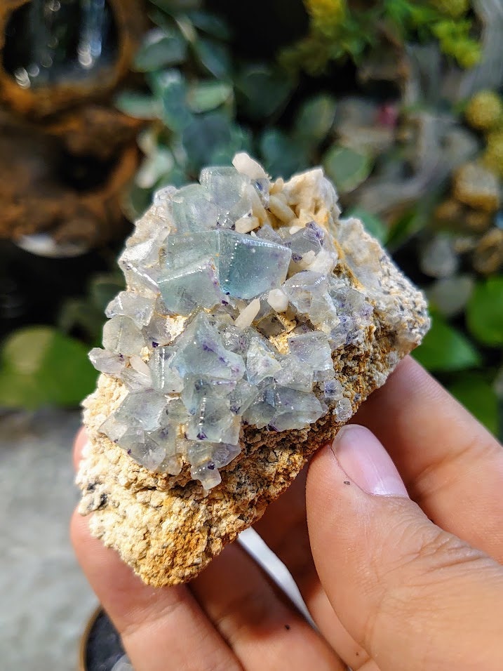 123g Brandberg Mountain Fluorite and Quartz Specimen from Namibia for Collection / Home and Altar Decor / Reiki / Meditation