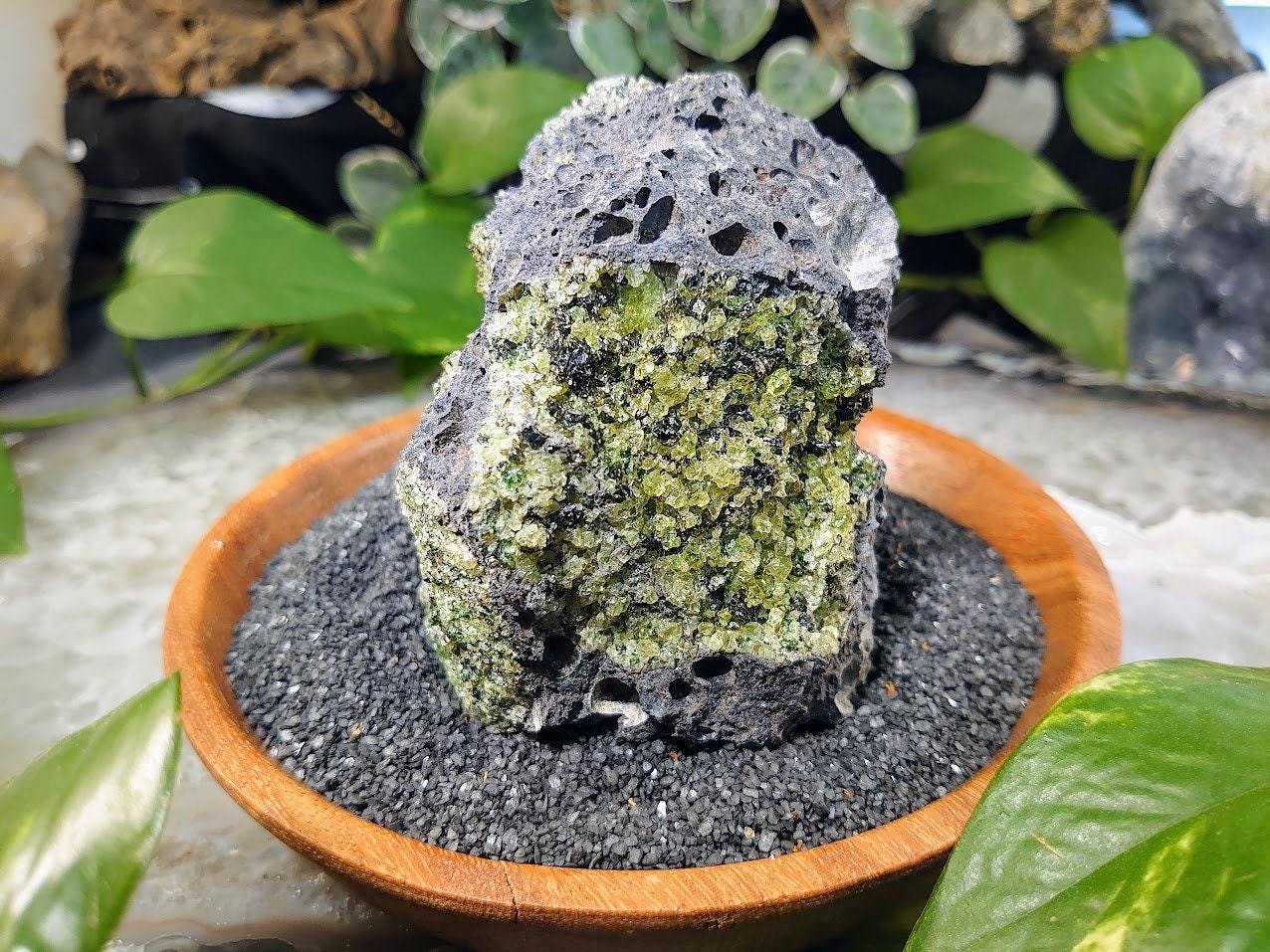 343g Peridot Druzy with Black Tourmaline on Basalt from Arizona  for Home and Altar Decor / Meditation / Reiki / Gifting / Collection