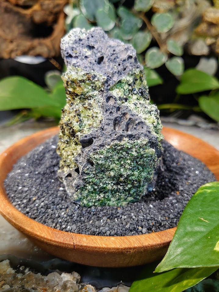 343g Peridot Druzy with Black Tourmaline on Basalt from Arizona  for Home and Altar Decor / Meditation / Reiki / Gifting / Collection