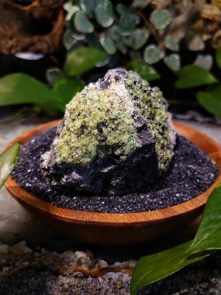 527g Peridot Druzy with Black Tourmaline on Basalt from Arizona  for Home and Altar Decor / Meditation / Reiki / Gifting / Collection