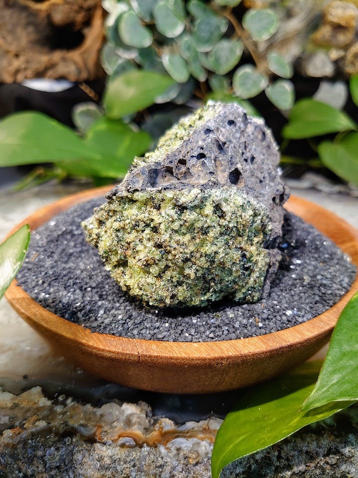 527g Peridot Druzy with Black Tourmaline on Basalt from Arizona  for Home and Altar Decor / Meditation / Reiki / Gifting / Collection